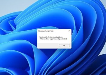 How to Check When Your Windows 11 Build is Expiring