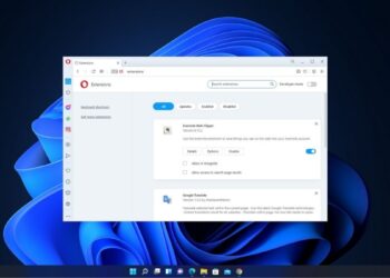 How to Install and Manage Extensions on Opera Browser