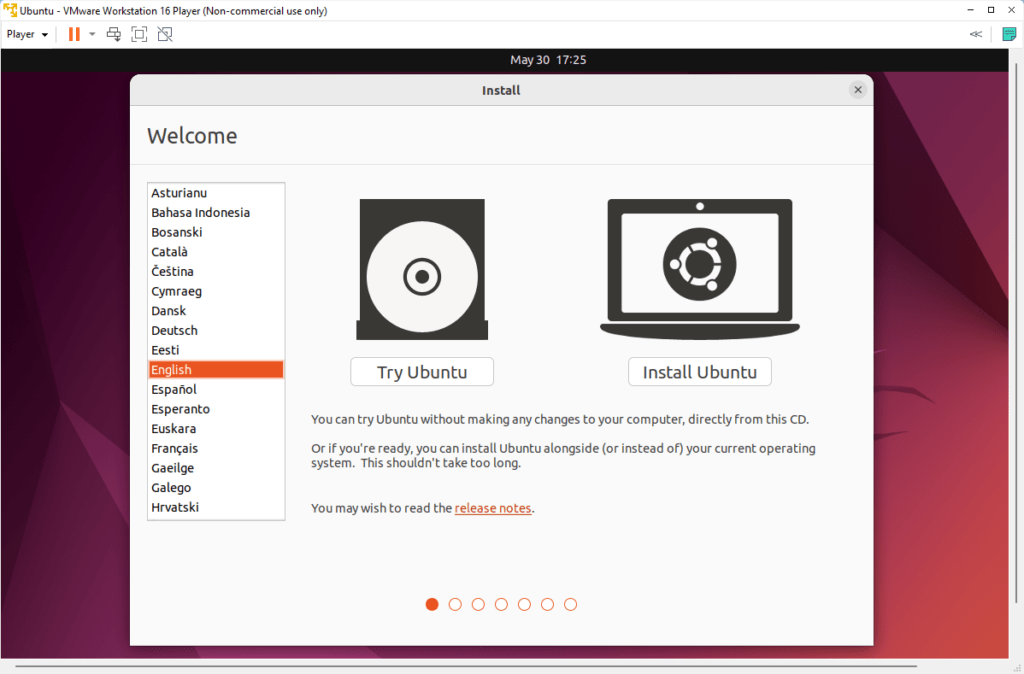 Ubuntu Installation Window