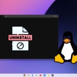 Removing Linux Development Environment from Chromebook
