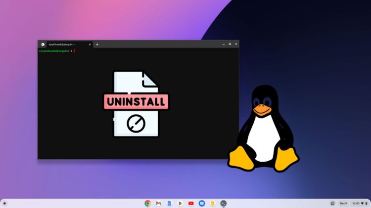 How to Remove Linux Development Environment from Chromebook