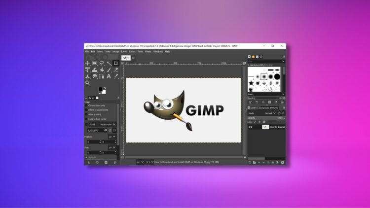 Top 5 GIMP Alternatives
