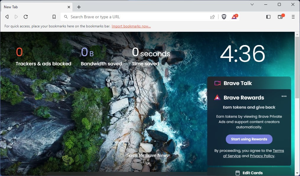 Brave Browser Interface