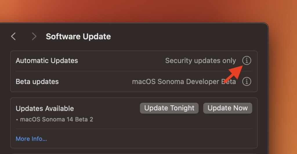 Automatic Updates settings macOS Ventura or later