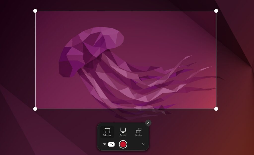 Built-in Tool to Record Screen on Ubuntu