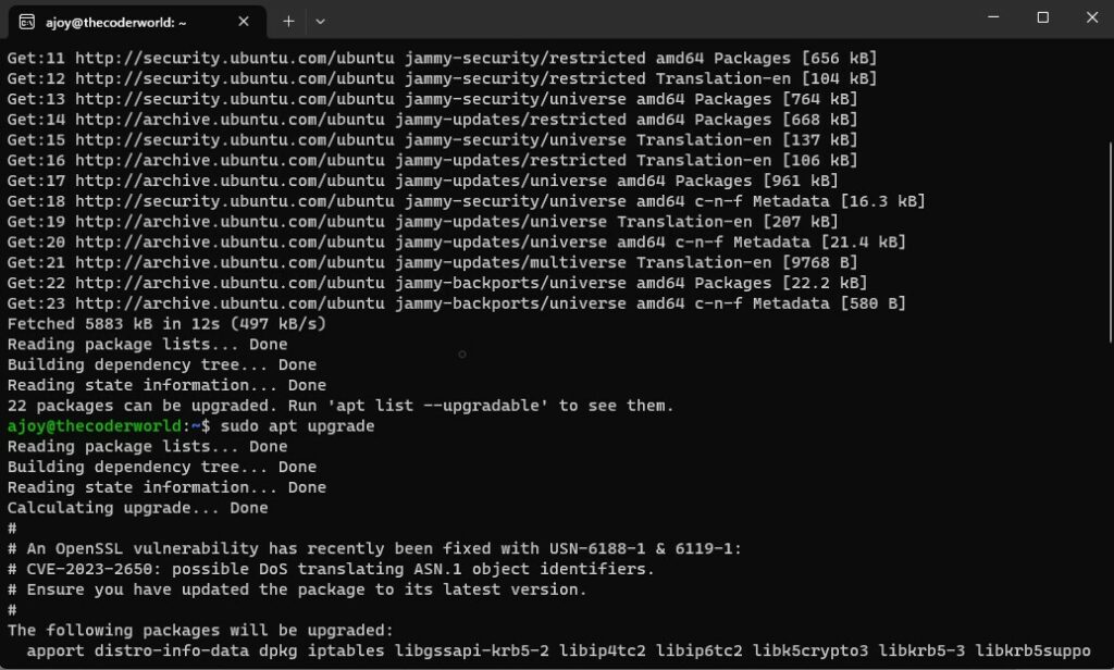 Updating Linux Distro on WSL