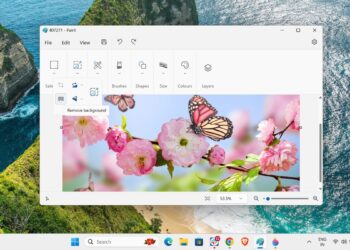 How to Use Paint to Remove Background From an Image in Windows 11