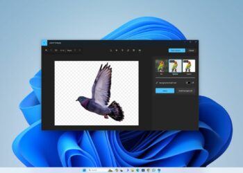How to Remove Background of Image in Windows 11