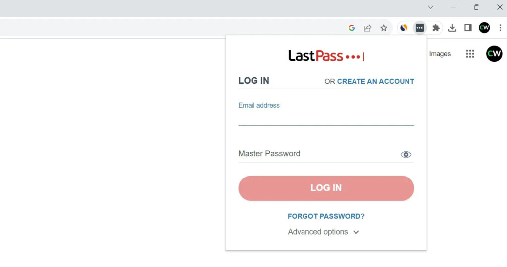 LastPass Extension Interface